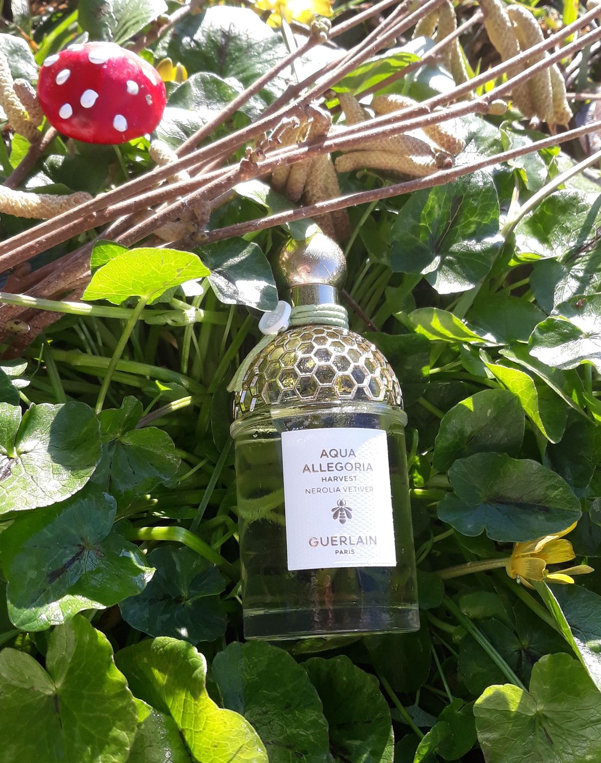 Guerlain AQUA Harvest Nerolia La Vetiver EDT
