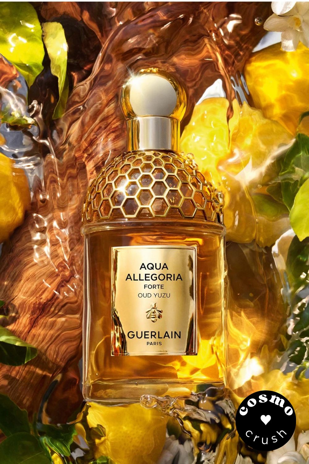 Guerlain AQUA Forte Oud Yuzu EDP
