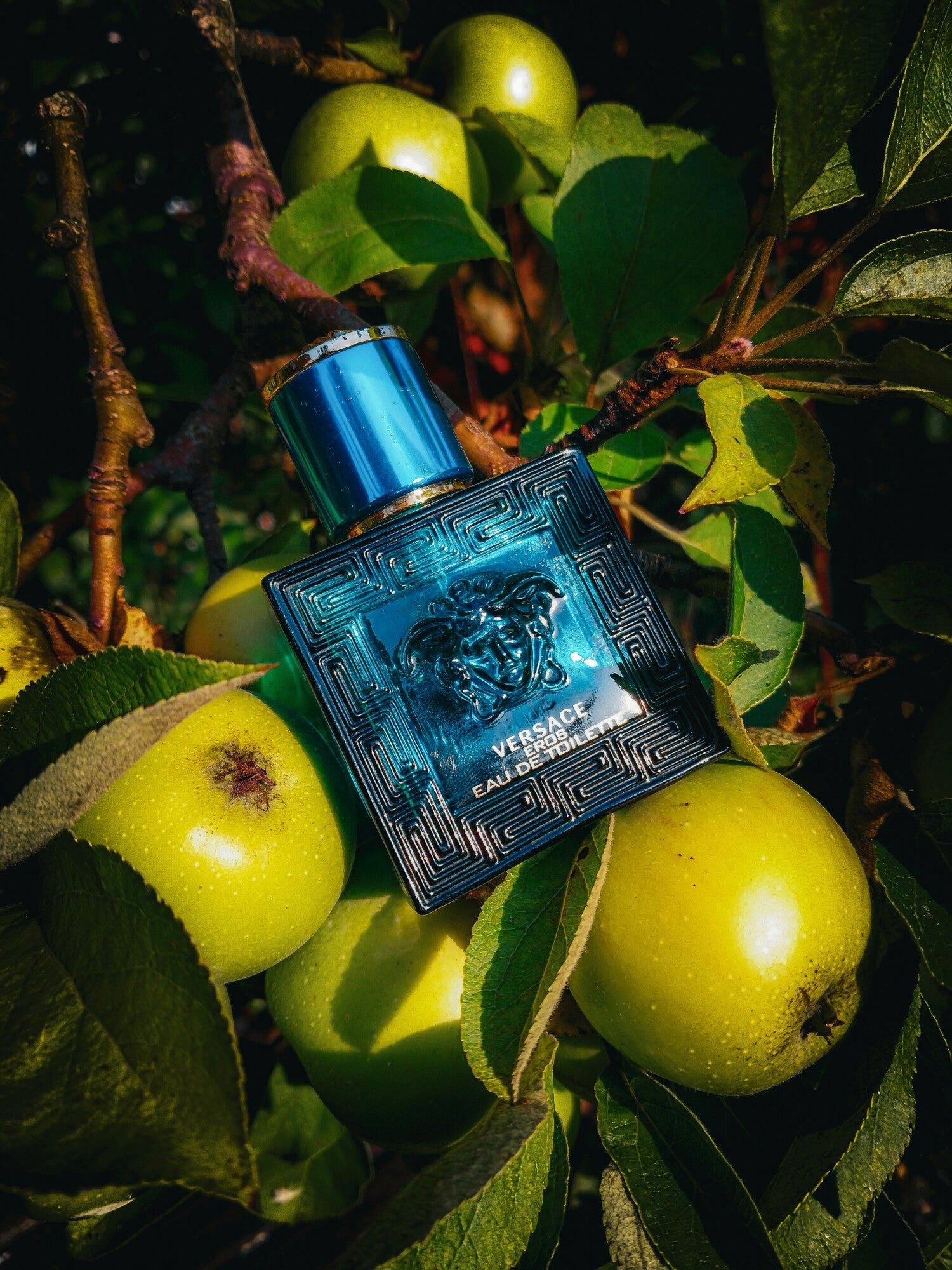 Eros — Versace | EDP