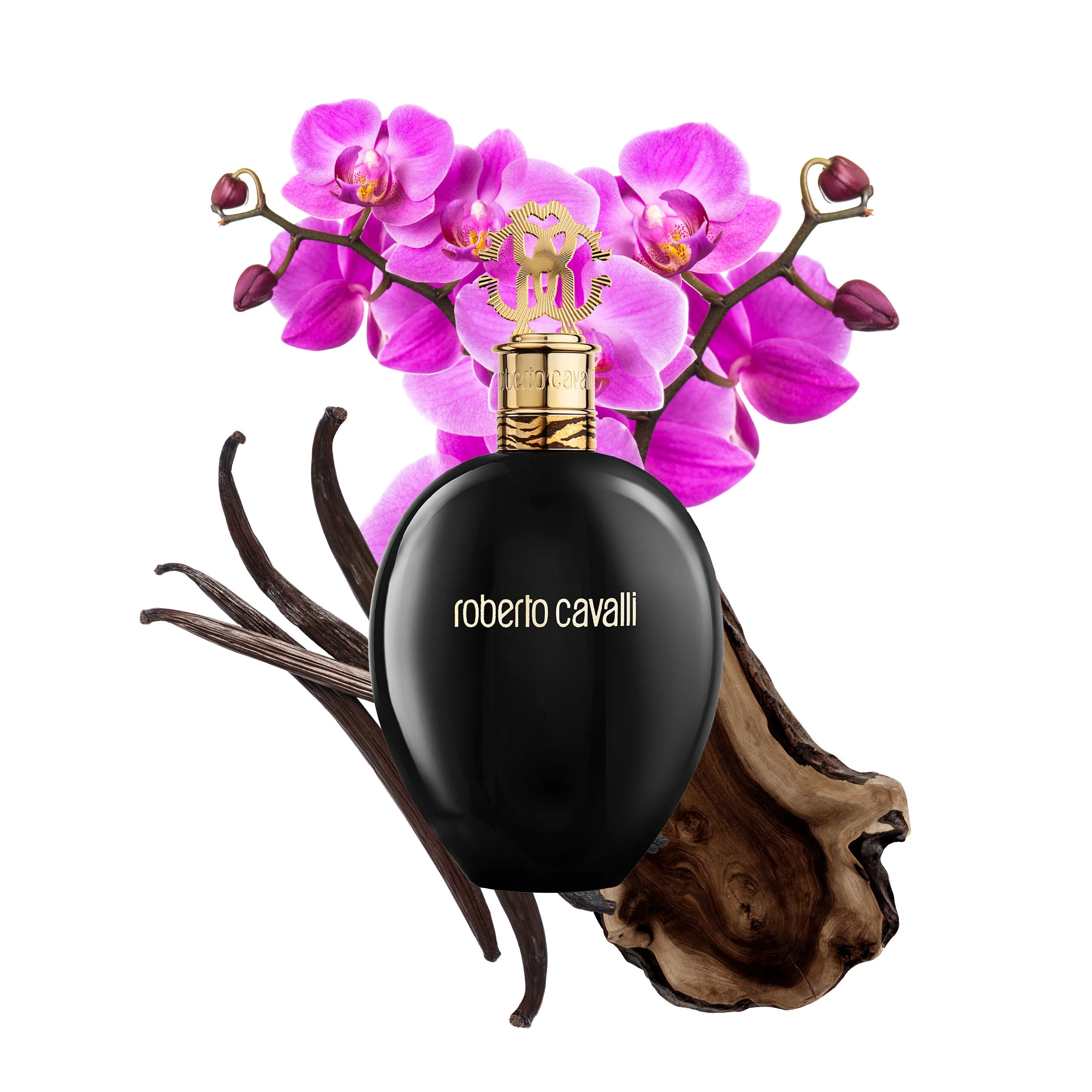 Roberto Cavalli Nero Assoluto EDP