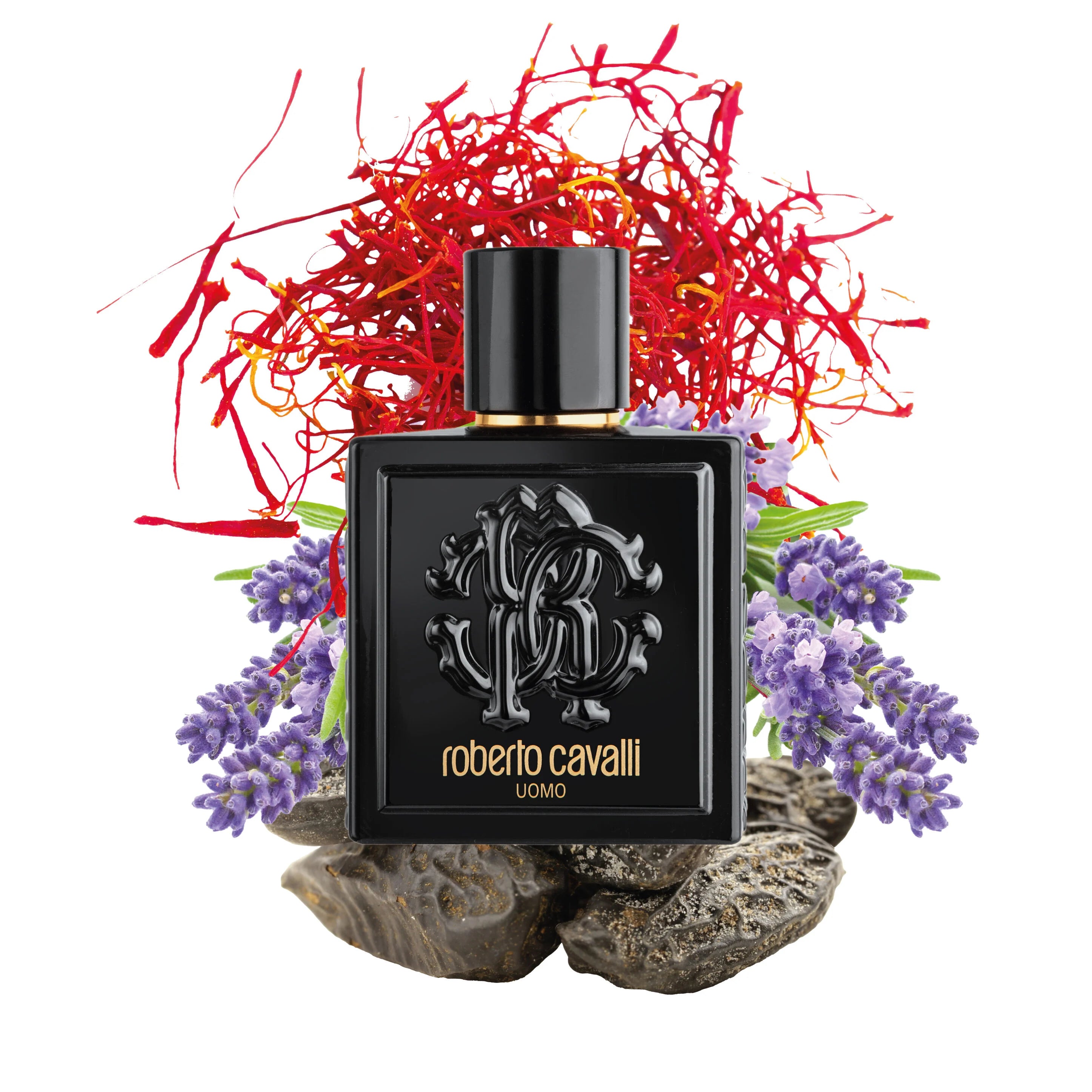 Roberto Cavalli Uomo EDT