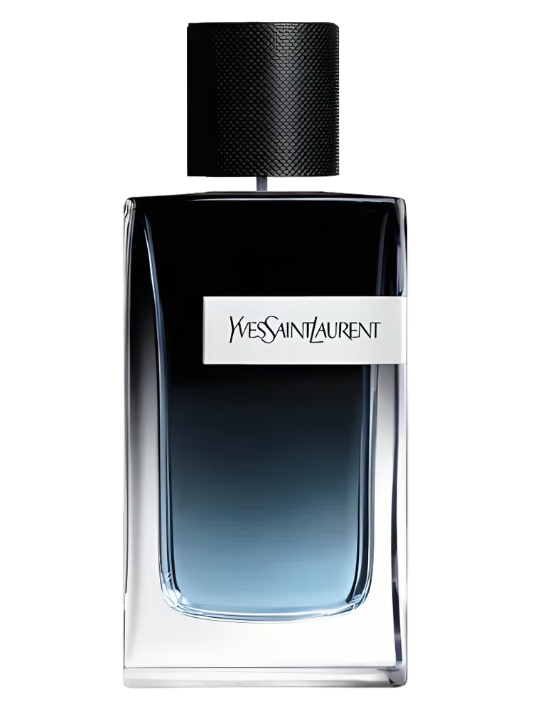 YSL Y EDP