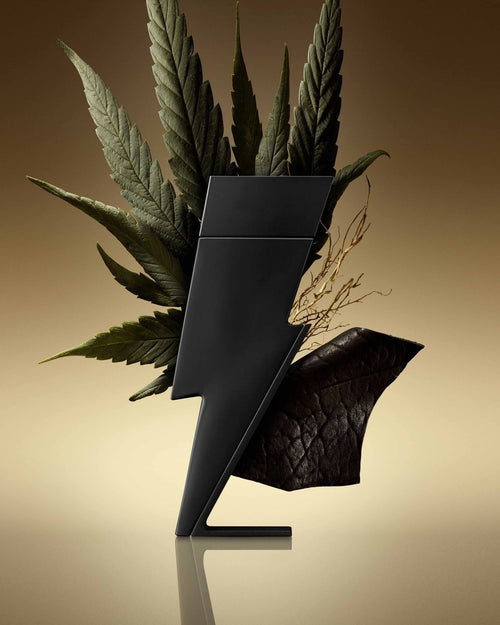 Carolina Herrera Bad Boy EDP